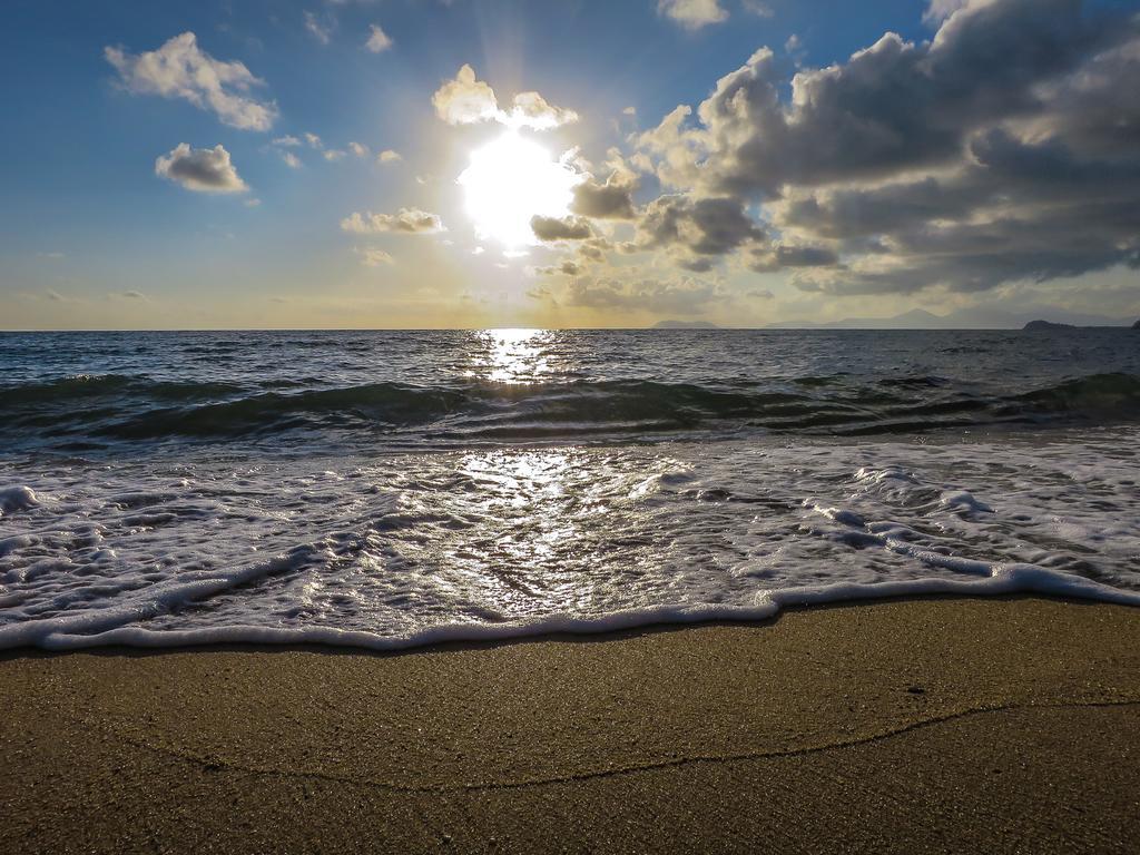 Cairns Beaches Flashpackers Палм Коув Екстериор снимка