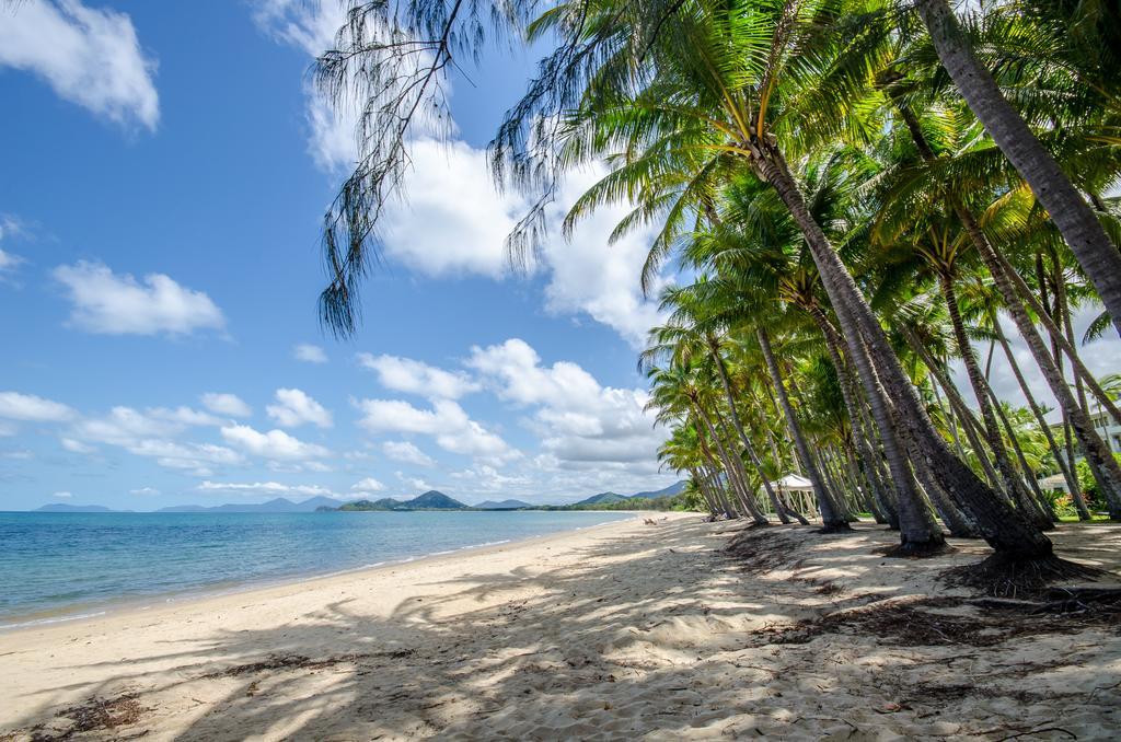 Cairns Beaches Flashpackers Палм Коув Екстериор снимка